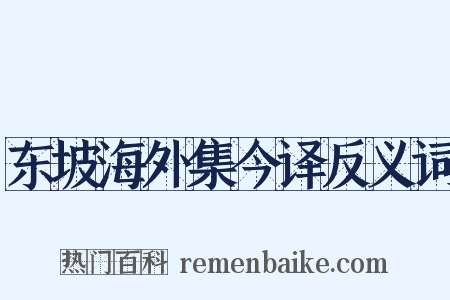 东坡海外集今译反义词是什么意思的图片